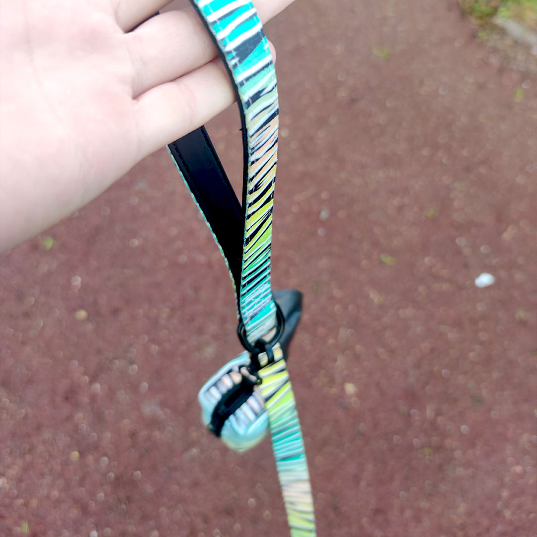 ZEBRA-Leine 150 cm - Bullosetti