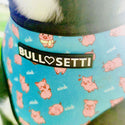 Bullosetti harness with pigs 