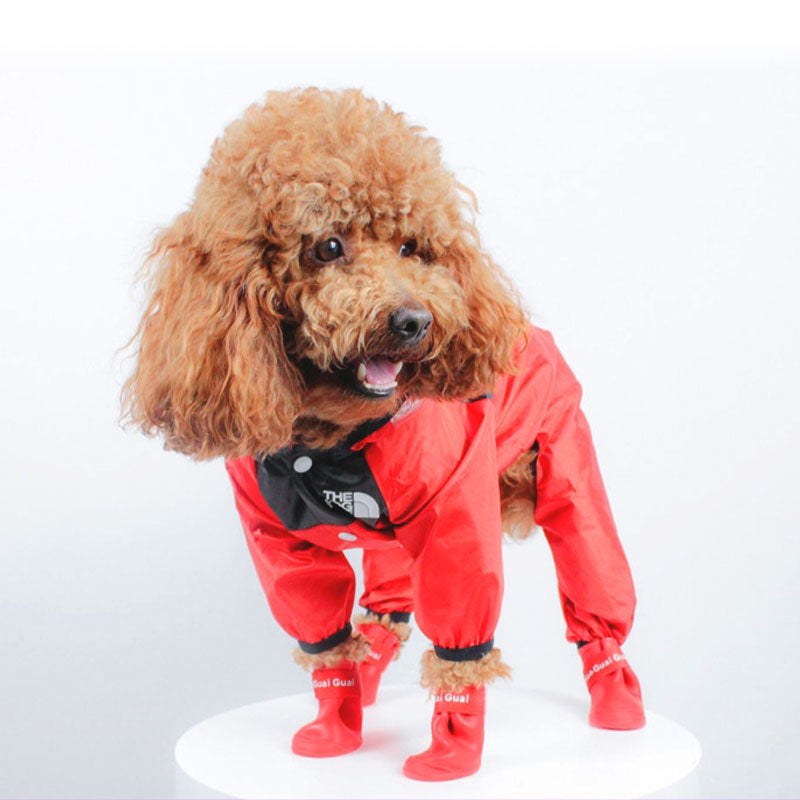 Raincoat with hood - The Dog Face