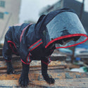 Regenmantel mit Kapuze – The Dog Face