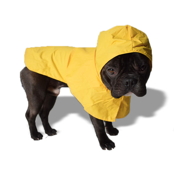 Yellow raincoat - mod. Balloon