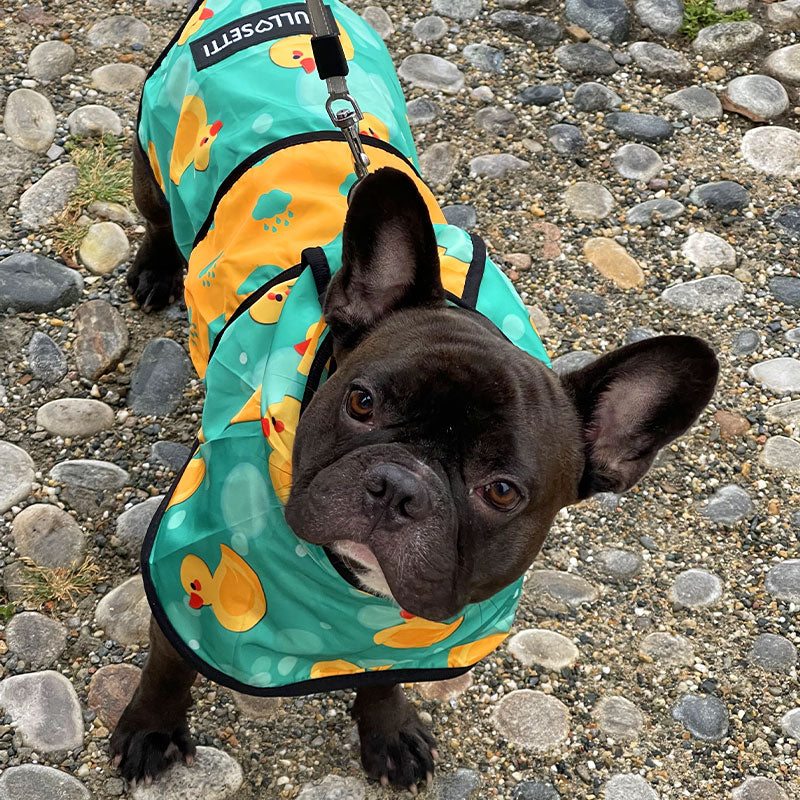 Entenregenmantel mit Kapuze – exklusiv bei Bullosetti