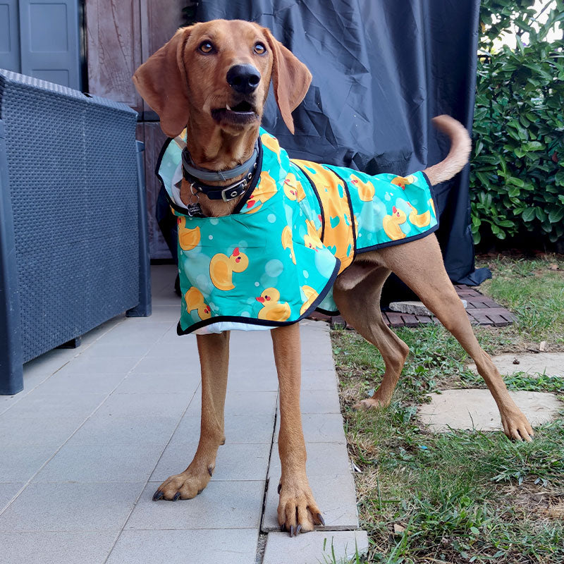 Entenregenmantel mit Kapuze – exklusiv bei Bullosetti