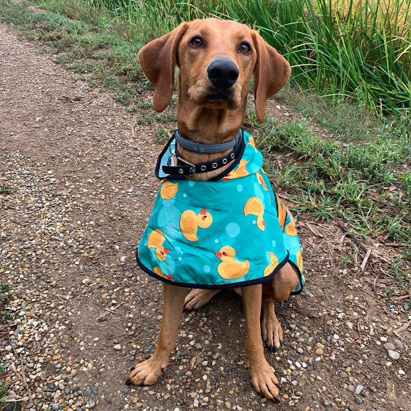 Entenregenmantel mit Kapuze – exklusiv bei Bullosetti