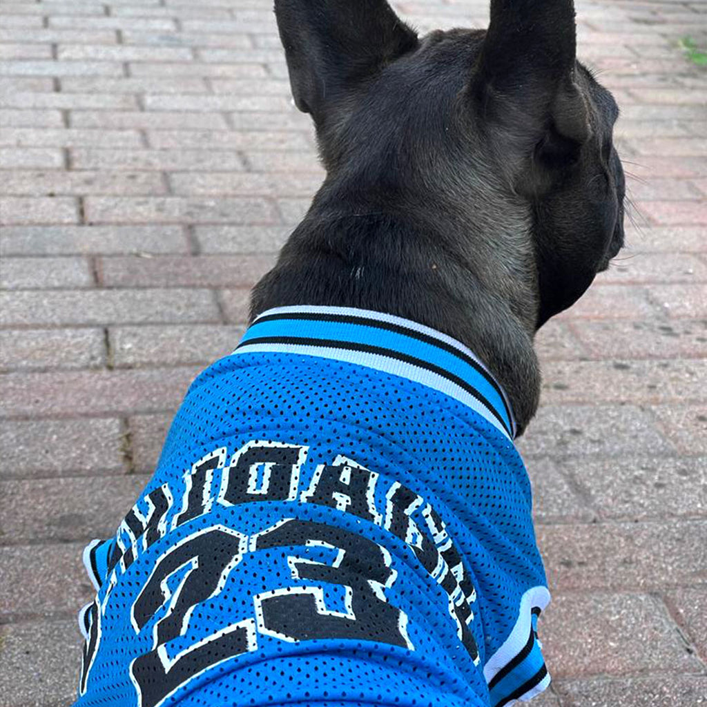 Erfrischendes T-Shirt für Hunde – Jersey-Shirt