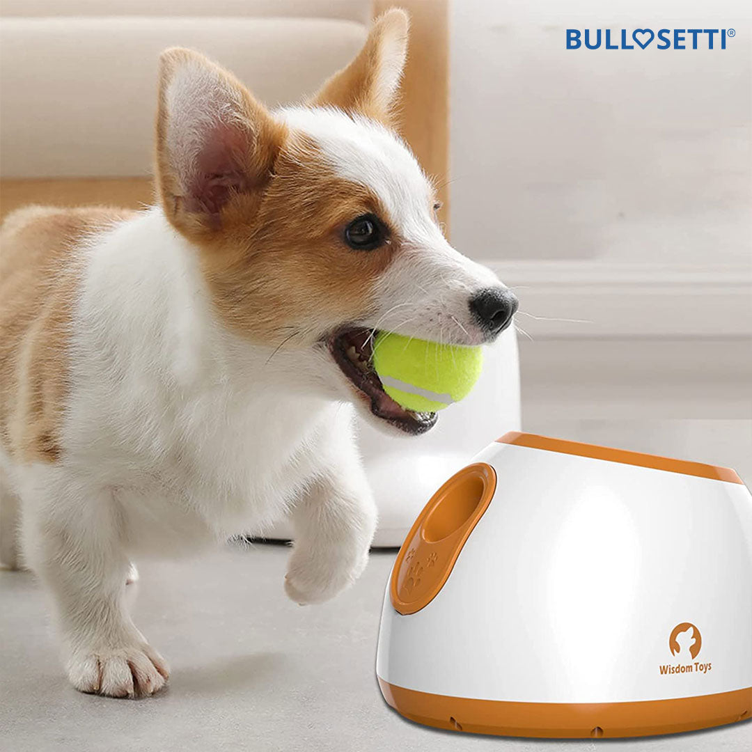 Automatischer Ballwerfer – 3 Bälle inklusive!