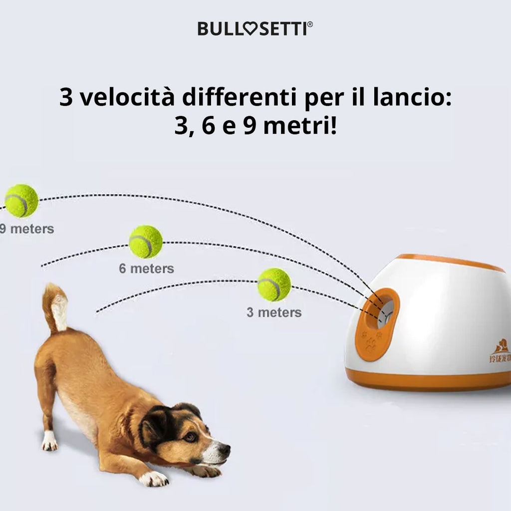 Automatischer Ballwerfer – 3 Bälle inklusive!