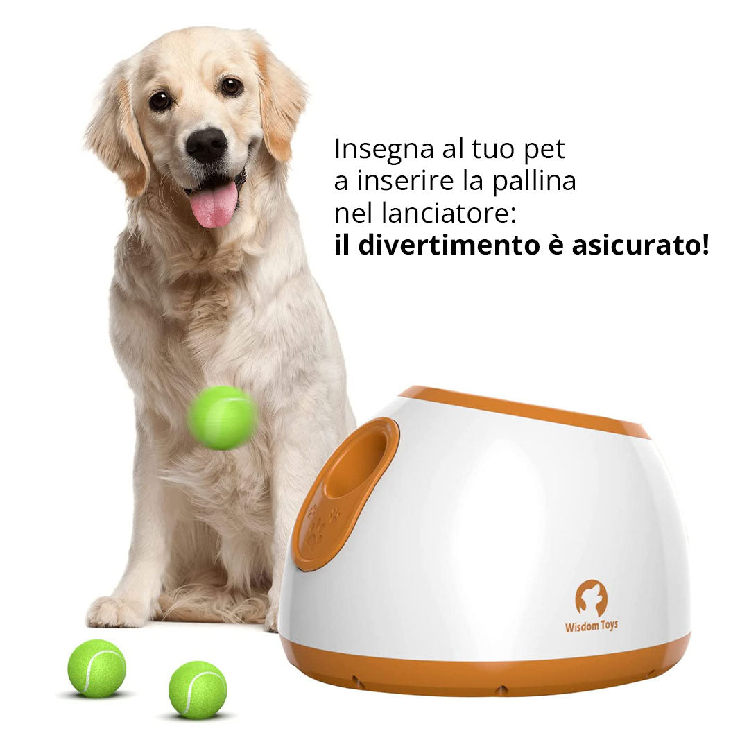 Automatischer Ballwerfer – 3 Bälle inklusive!