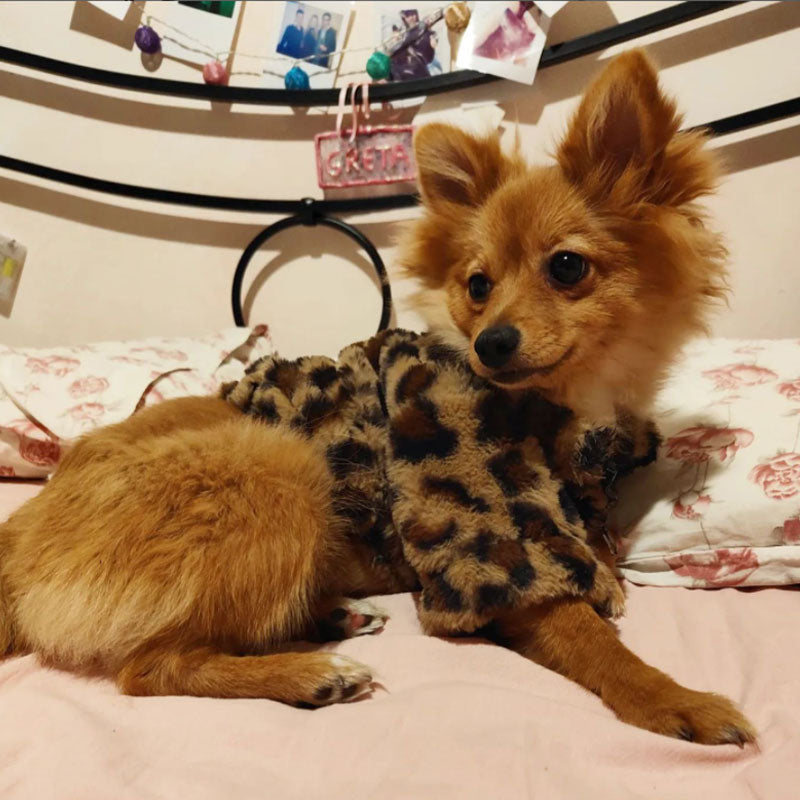 Leoparden-Plüsch-Hunde-Sweatshirt – Kunstfell