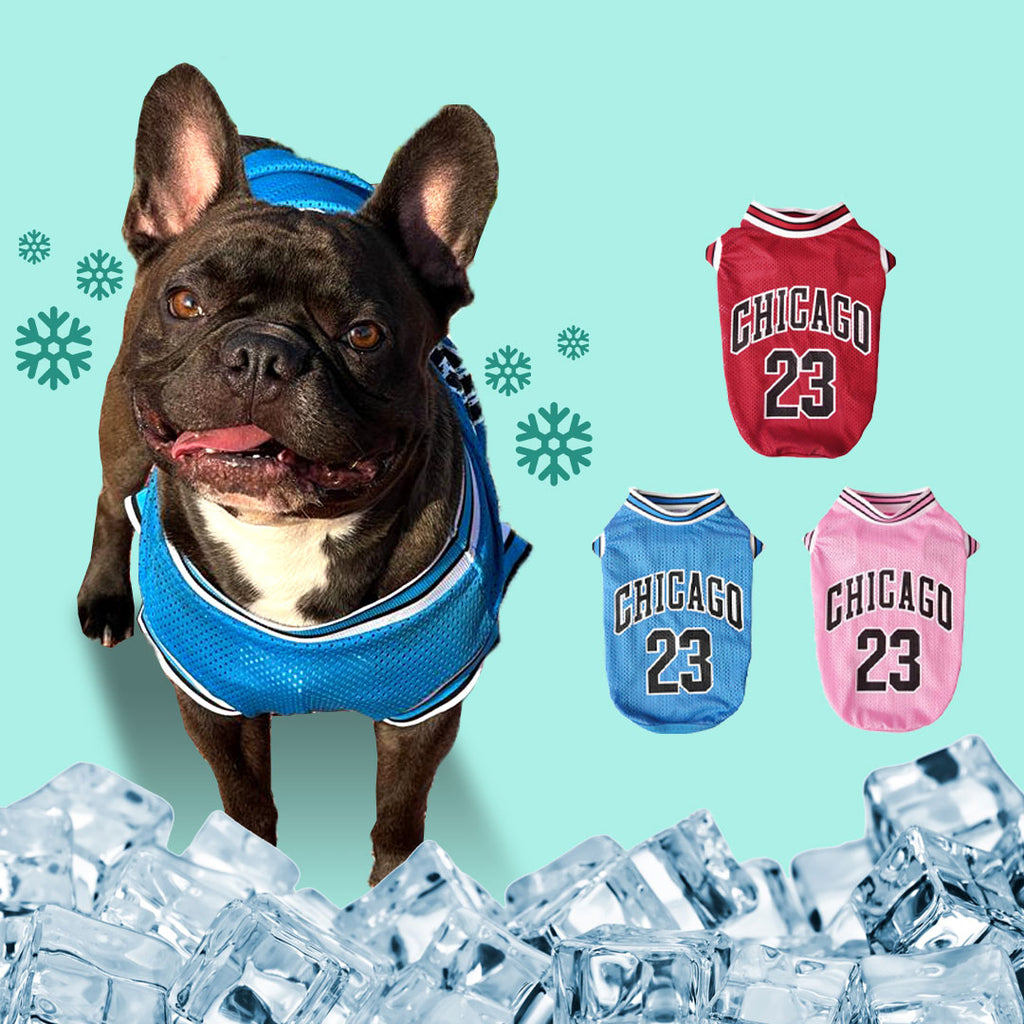 Erfrischendes T-Shirt für Hunde – Jersey-Shirt