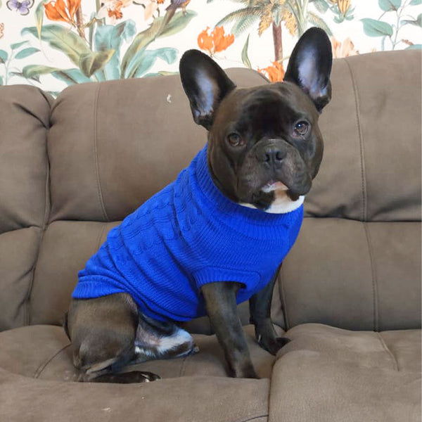 Warmer Pullover für Hunde – Mod.Betty – 3 Farben erhältlich