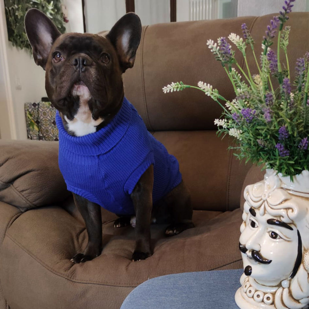 Warmer Pullover für Hunde – Mod.Betty – 3 Farben erhältlich