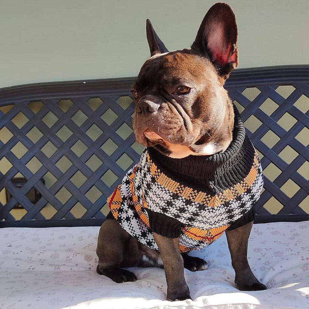 Turtleneck sweater for dogs - Bownie style