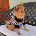 Turtleneck sweater for dogs - Bownie style