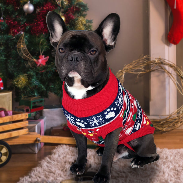 Weihnachtspullover für Hunde – 3 Designs