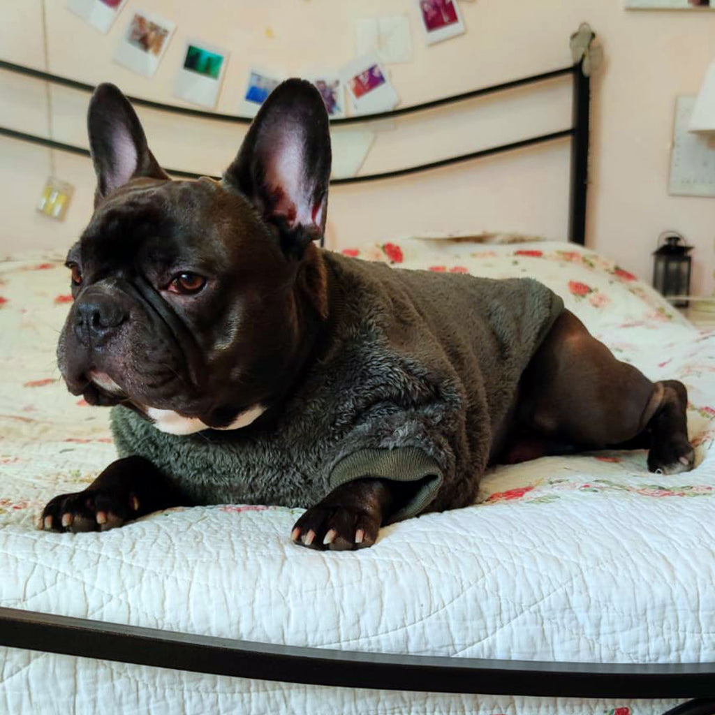 Soft furry sweater - dark green - mod.Jolie