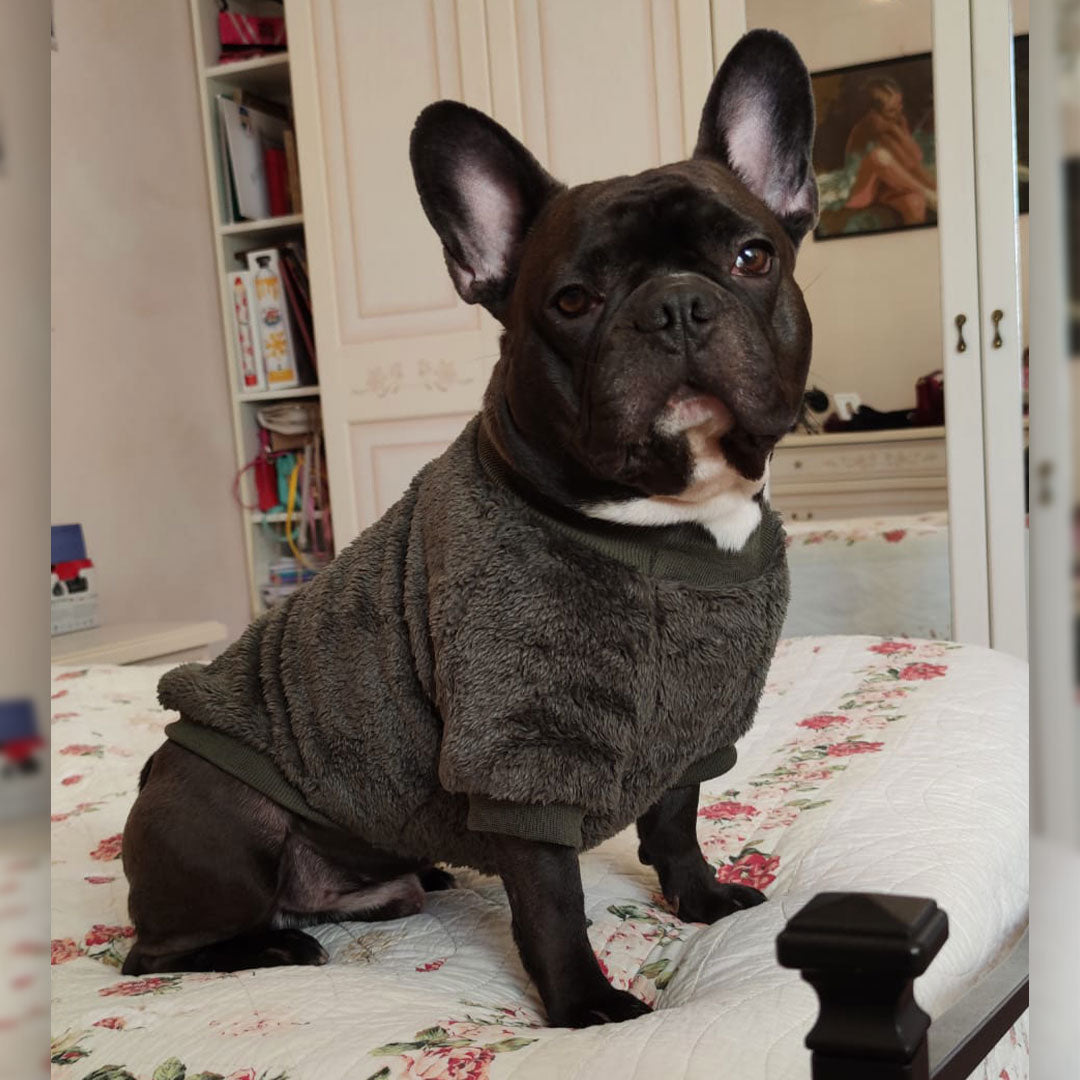 Maglione morbido pelosetto - verde scuro -  mod.Jolie