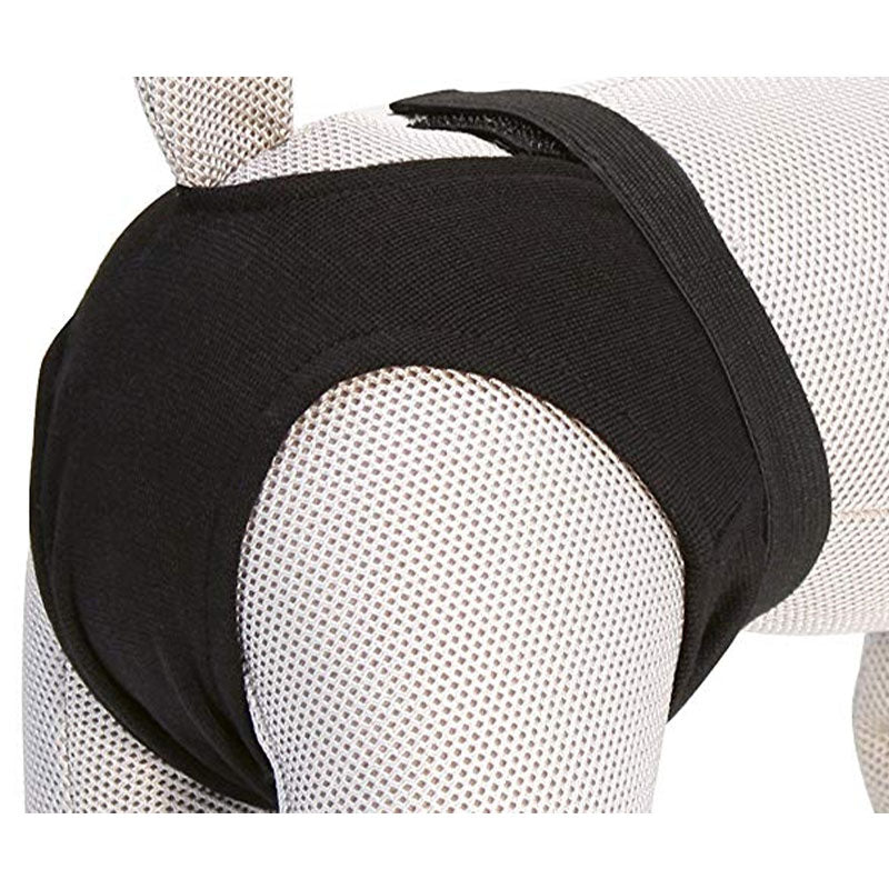 Hygienic underwear for dogs