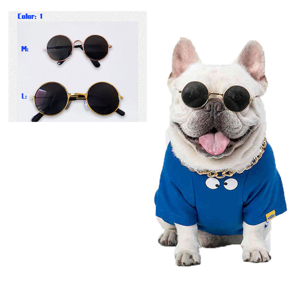 Lustige Brille für Hunde und Katzen – 2 Größen