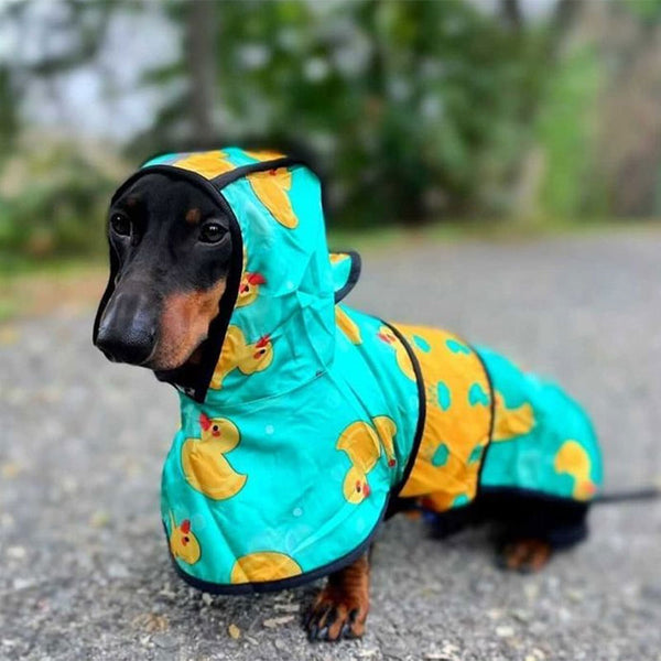 Duck raincoat with hood - Bullosetti exclusive