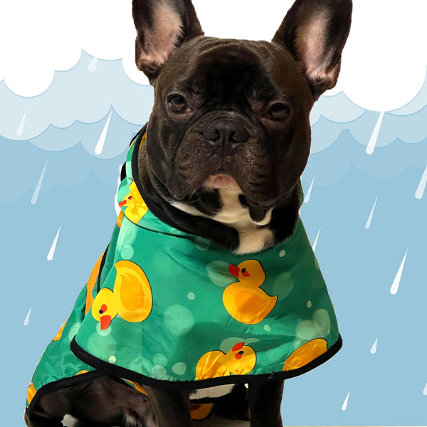 Duck raincoat with hood - Bullosetti exclusive