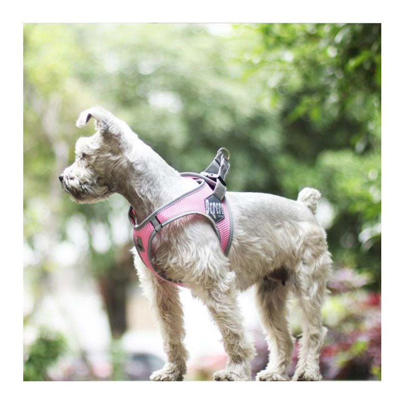 Pettorina traspirante rosa - mod. Daisy