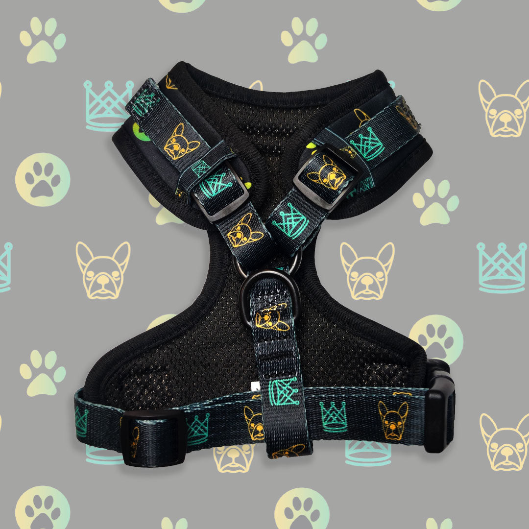 Pettorina ad H - regolabile - mod. Aletheia