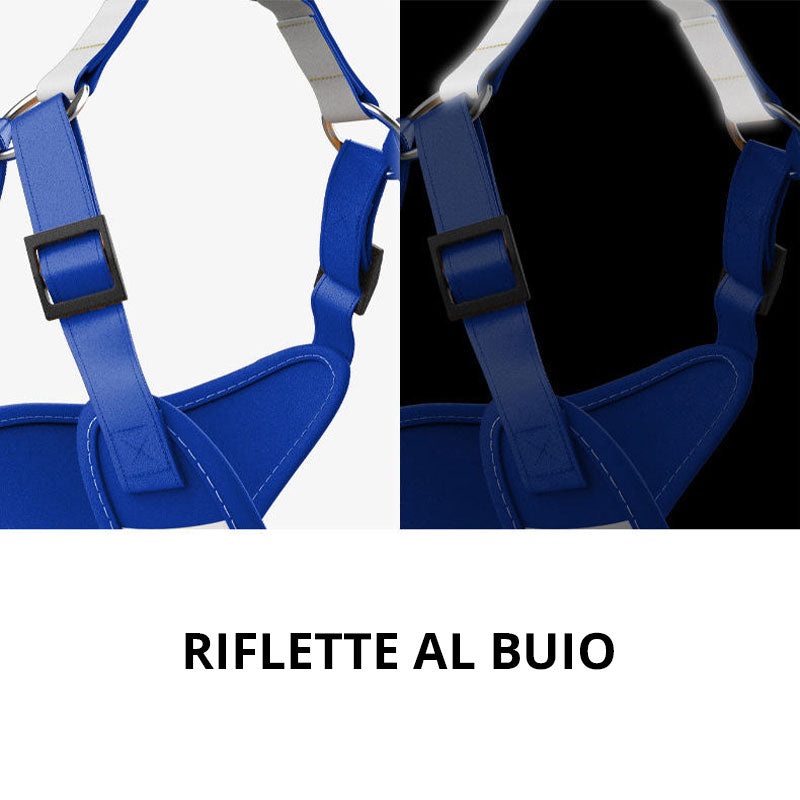 [SET] Harness and leash - red and blue - Basic