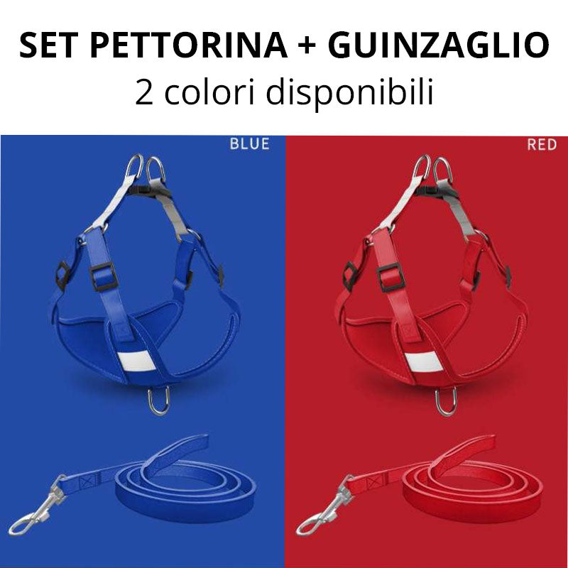 [SET] Harness and leash - red and blue - Basic
