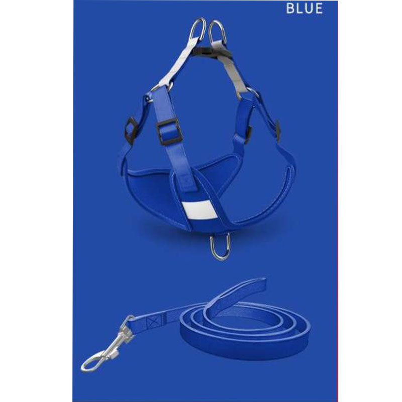 [SET] Harness and leash - red and blue - Basic