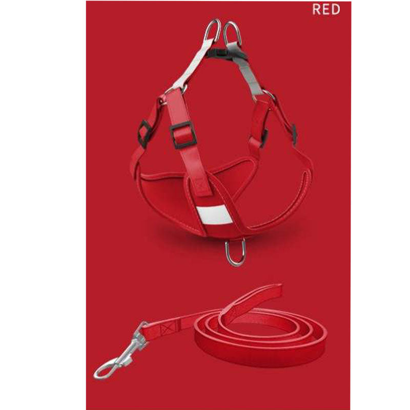 [SET] Harness and leash - red and blue - Basic