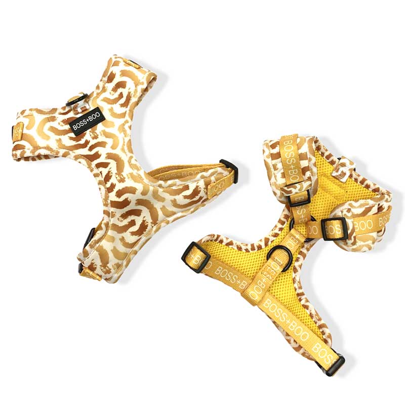 You're so golden harness - brand Boss &amp; Boo 