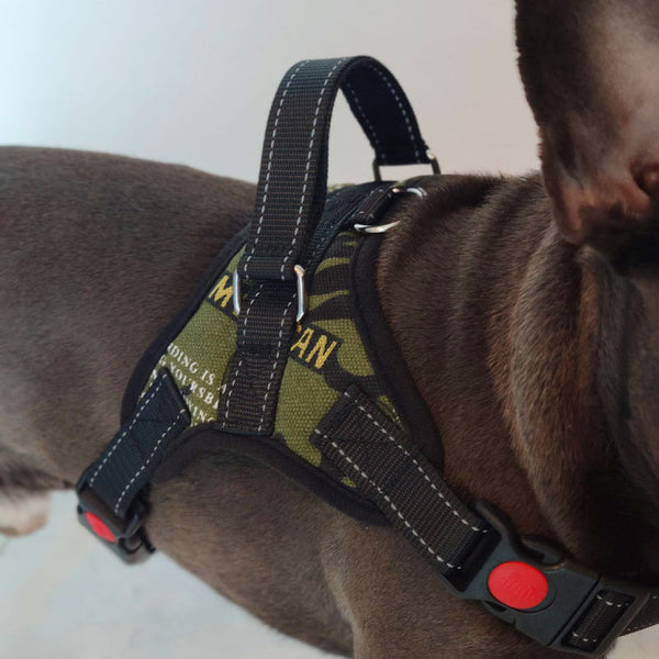 Camou harness - green and black - for dogs from 2 to 40kg