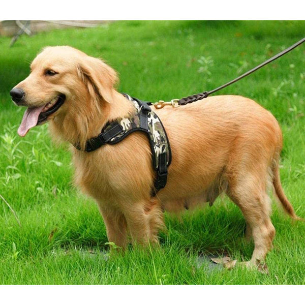 Camou harness - green and black - for dogs from 2 to 40kg