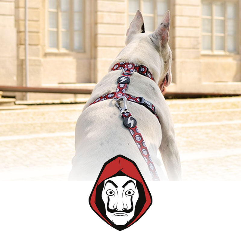 H-shaped harness - La Casa de Papel