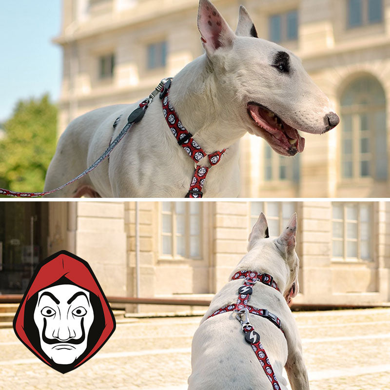 H-shaped harness - La Casa de Papel