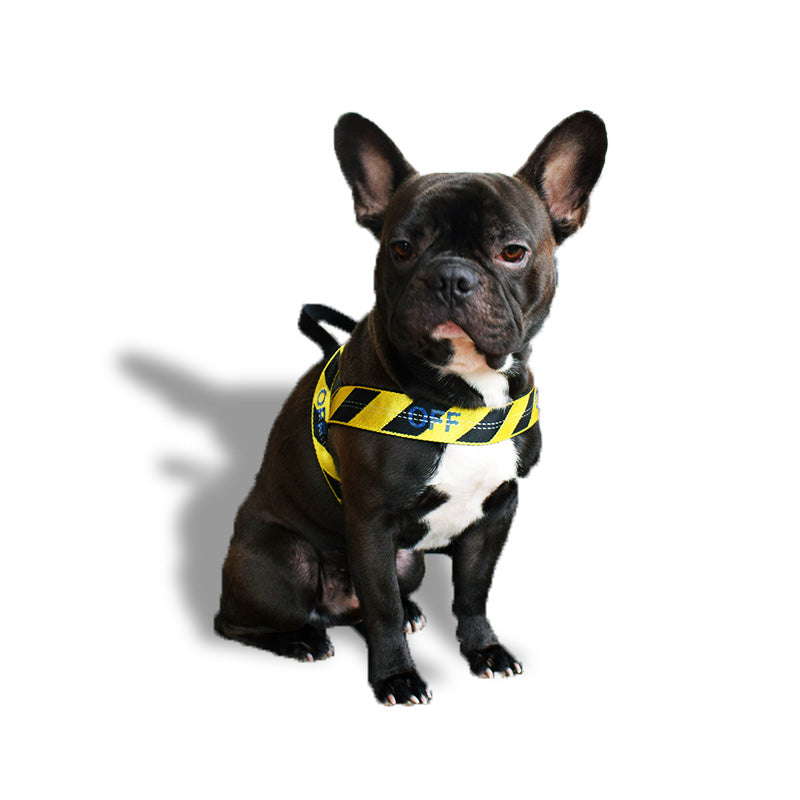 Yellow and black harness - mod. Off 