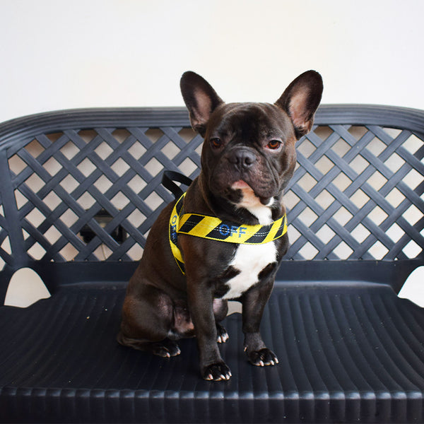 Yellow and black harness - mod. Off 