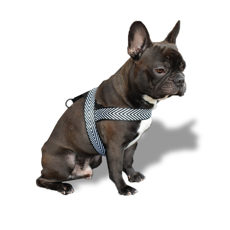 Pettorina bianca e nera - mod. Tiana