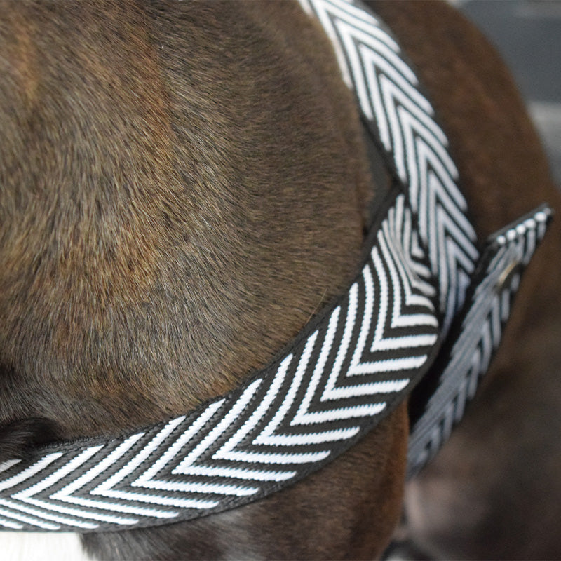 Pettorina bianca e nera - mod. Tiana