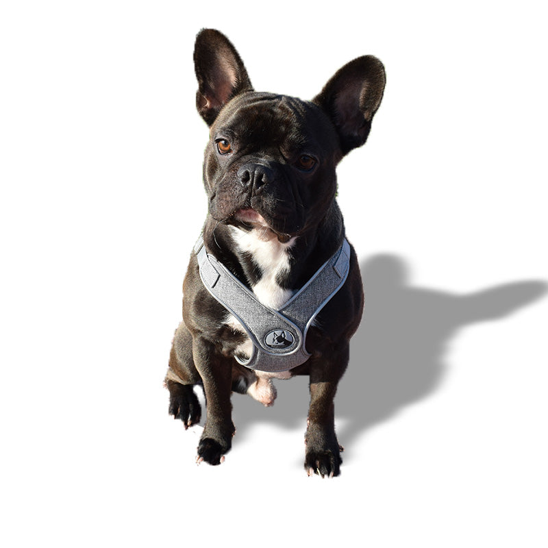 Pettorina grigia - mod. Sampei - grigia o rosa