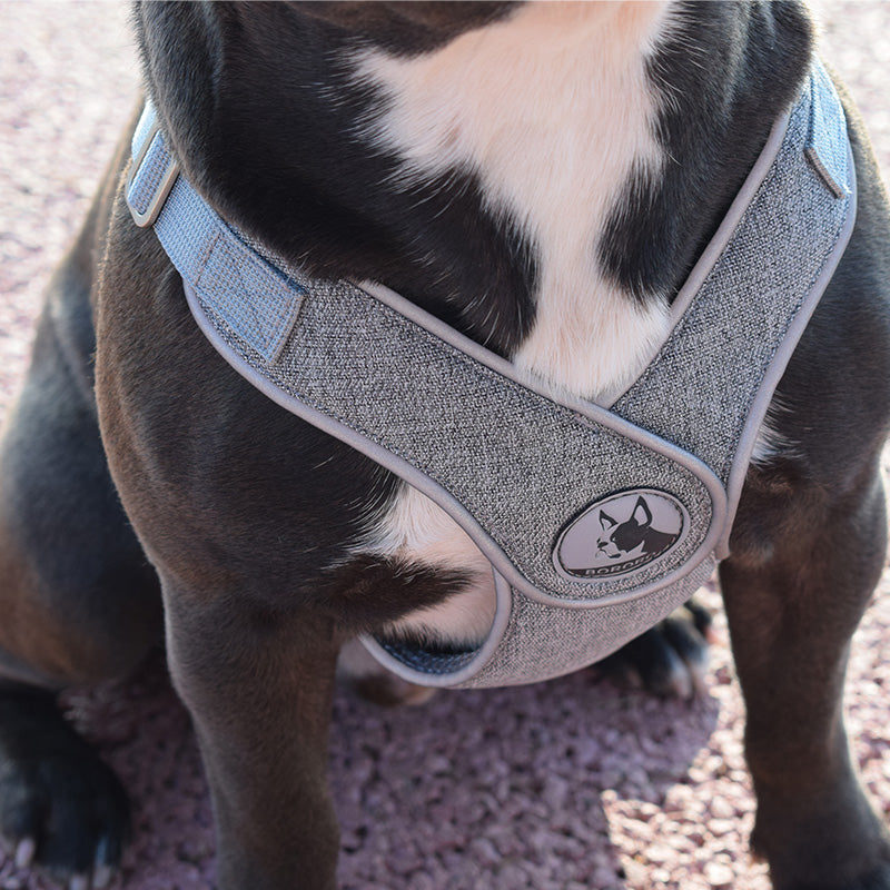 Pettorina grigia - mod. Sampei - grigia o rosa