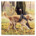 Spotted harness - for dogs from 2 to 40kg - mod.Calà