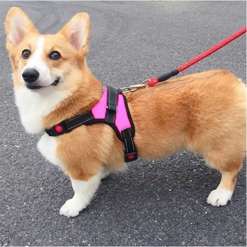 Pettorina rosa - mod.Petit - per cani da 2 a 40kg