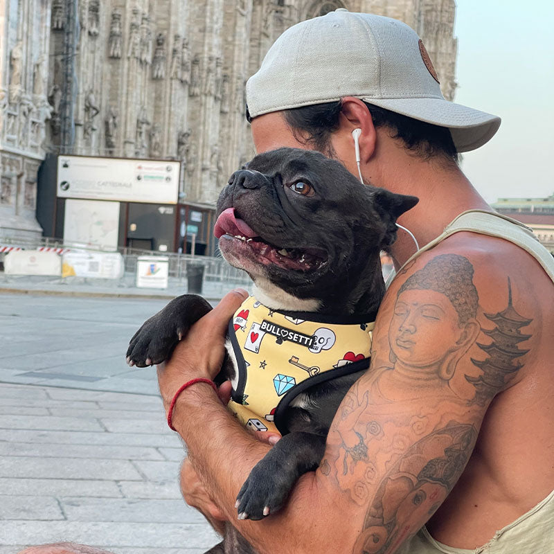 Pettorina regolabile con tattoo - Bullosetti