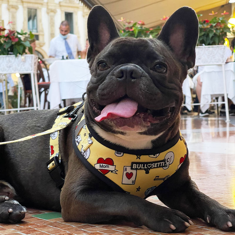 Adjustable bib with tattoo - Bullosetti