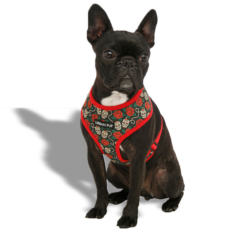 [SET] Skull Rose harness and leash - Urban Pup