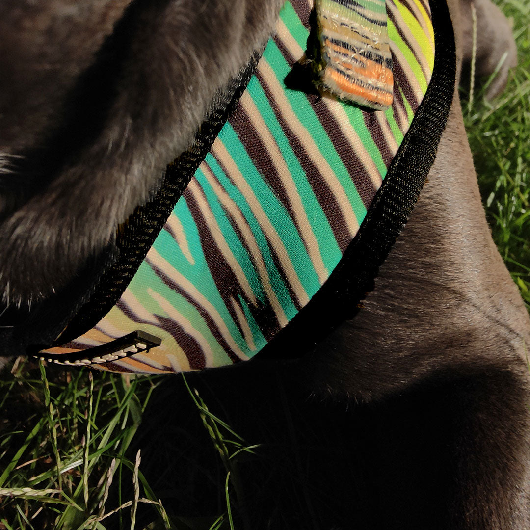 Pettorina regolabile ZEBRA - Bullosetti