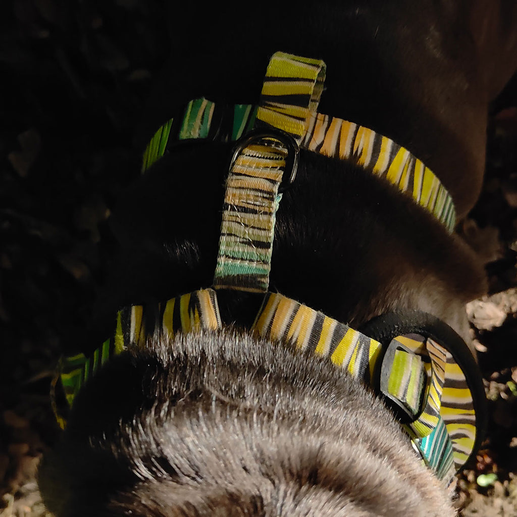 Pettorina regolabile ZEBRA - Bullosetti