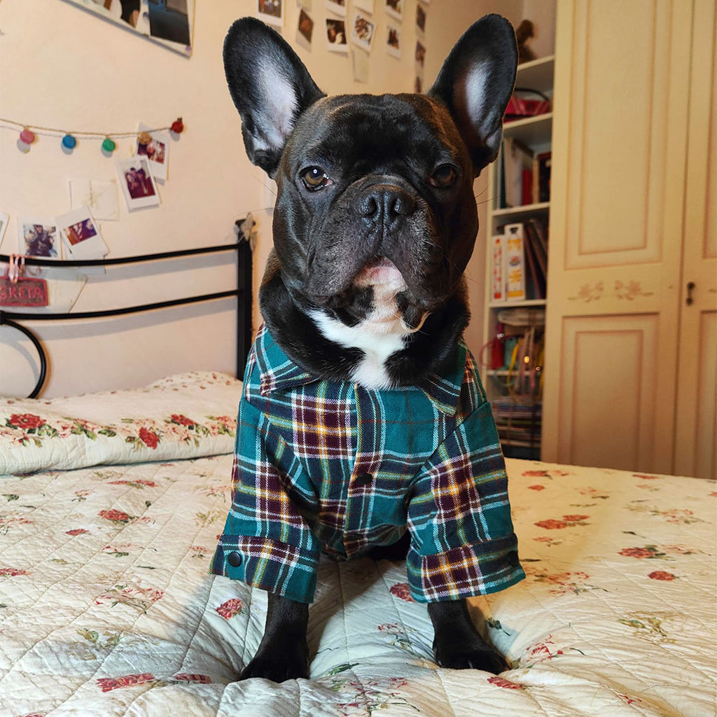 Green tartan shirt pajamas - 100% cotton - mod. Sleepy